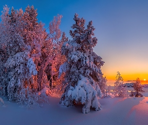 Śnieg, Drzewa, Zima, Zachód słońca