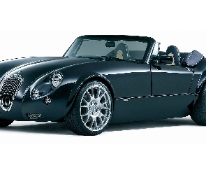 Wiesmann MF3, Lusterka, Halogeny