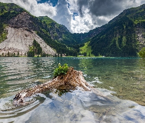 Austria, Góry, Jezioro, Konar