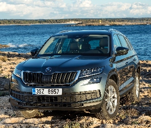 2017, Rzeka, Skoda Kodiaq