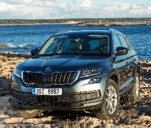 Skoda Kodiaq, Rzeka, 2017