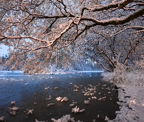 Zima, Śnieg, Drzewa, Jezioro