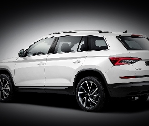 Skoda Kodiaq, 2017, Biała