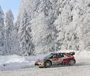Las, Citroen DS3, Zima