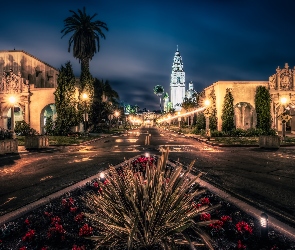 San Diego, Ulica, Noc, Park Balboa, Kalifornia