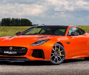 Pomarańczowy, Jaguar F-Type SVR