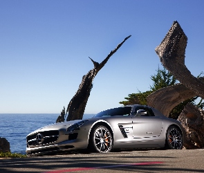 2011, Mercedes-Benz SLS AMG