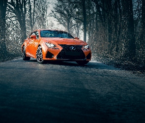 Lexus RC F, 2017, Samochód