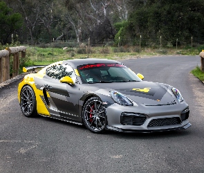 Vorsteiner Porsche Cayman GT4 V CS Aero 981C, 2016