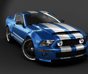 Pasy, Białe, Niebieski, Ford Mustang Shelby