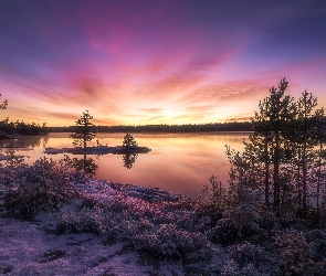 Norwegia, Ringerike, Drzewa, Zachód słońca, Jezioro, Zima
