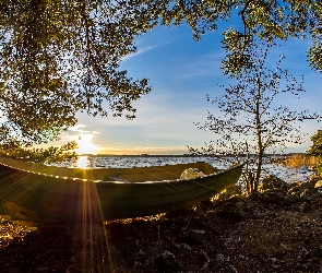 Morze, Drzewa, Värmdö, Szwecja, Łódka, Promienie słońca