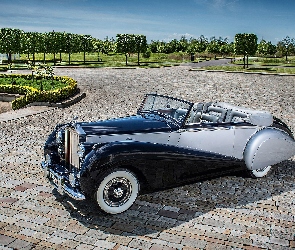 Park, 1952, Zabytkowy, Rolls Royce Silver Dawn