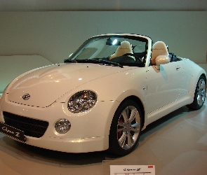 Copen, Z