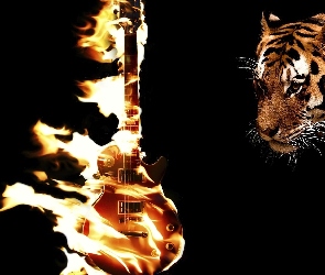Płonąca, Tygrys, Gitara