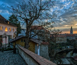 Czechy, Český Krumlov, Drzewo, Domy, Kościół, Ulica