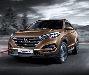 2016, Hyundai Tuscon