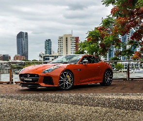 Orange Metallic, 2016-2017, Jaguar F-Type SVR Coupe