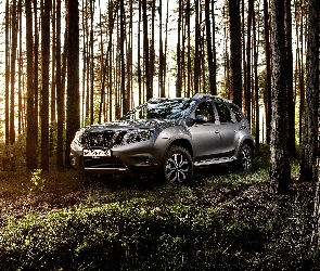 2016, Drzewa, Nissan Terrano