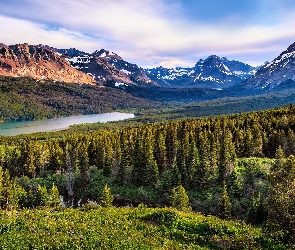 Stany Zjednoczone, Stan Montana, Drzewa, Góry, Jezioro Two Medicine Lake, Park Narodowy Glacier