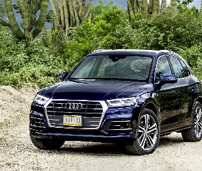 2017, Kaktusy, Audi Q5 TFSI Quattro SUV Navarra Blue