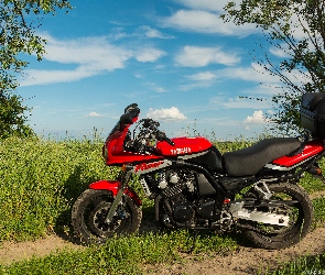 Yamaha FZS600 Fazer, Plener, Motocykl