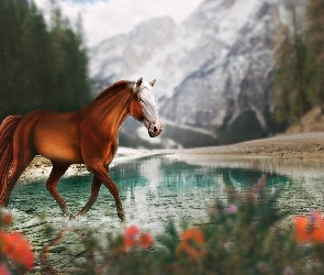 Koń, Grafika 2D, Góry, Rzeka