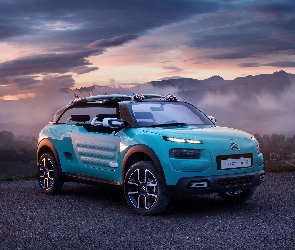 Citroen Cactus M Concept, 2015

