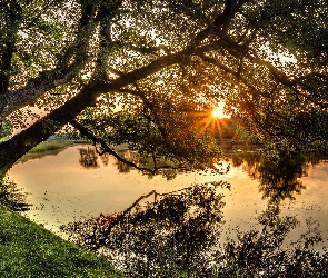 Promienie słońca, Drzewa, Rzeka