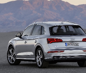 Srebrne, 2017, Audi Q5 2.0 TDI Quattro