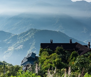 Mgła, Dom, Hrabstwo Nantou, Drzewa, Góry, Tajwan, Qingjing Farm