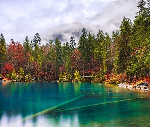 Las, Jesień, Wyżyny Berneńskie, Drzewa, Ławka, Szwajcaria, Jezioro Blausee