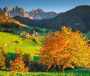 Kościół, Dolomity, Góry, Dolina Val di Funes, Włochy, Jesień, Lasy, Masyw Odle, Drzewa, Wieś Santa Maddalena