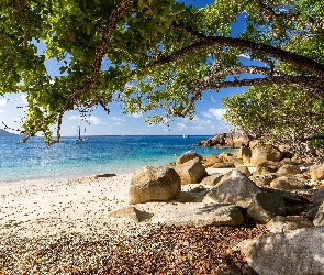 Morze Koralowe, Stan Queensland, Australia, Żaglówka, Kamienie, Plaża, Drzewa, Wyspa Fitzroy