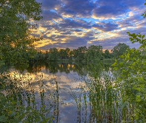 Dolna Saksonia, Niemcy, Trawa, Jezioro Thielenburger See, Drzewa, Chmury, Dannenberg