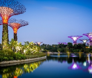 Singapur, Drzewa, Zatoka, Odbicie, Krzaki, Wieczór, Futurystyczny ogród Gardens by the Bay, Woda, Światła