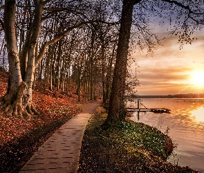 Holandia, Jesień, Pomost, Wschód słońca, Ścieżka, Jezioro, Prowincja Utrecht, Wieś Leersum, Park