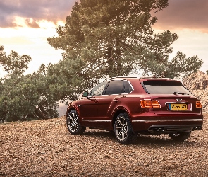 2016, Bentley Bentayga