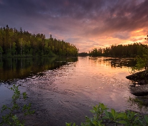 Finlandia, Rzeka Neitijoki, Chmury Rzeka, Drzewa, Zachód słońca, Las