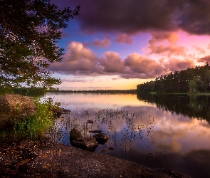Finlandia, Drzewa, Jezioro Hankavesi, Chmury, Gmina Ähtäri