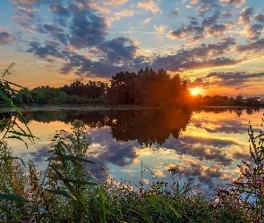 Odbicie, Zachód słońca, Drzewa, Jezioro, Chmury, Rośliny