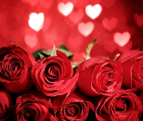 Miłość, Serduszka, Czerwone, Róże