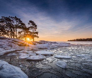 Drzewa, Helsinki, Morze, Półwysep Kallviksudden, Finlandia, Zatoka, Promienie słońca, Zima, Zachód słońca, Plaża Kallahdenniemi