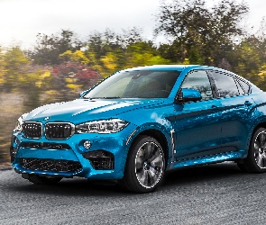 Niebieskie, 2015, BMW X6 F86