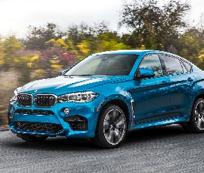 Niebieskie, 2015, BMW X6 F86