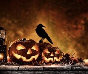 Halloween, Ptak, Świece, Lampion, Dynie