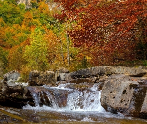 Jesień, Drzewa, Las, Rzeka, Kamienie