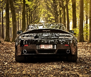 Aston Martin V8 Vantage Roadster, Drzewa, Las, 2012