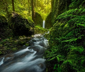 Rezerwat przyrody Columbia River Gorge, Wodospad Mossy Grotto Falls, Stan Oregon, Stany Zjednoczone, Skały, Omszałe, Las, Kamienie, Rzeka Ruckel Creek