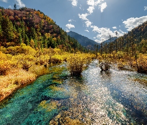 Jezioro Arrow Bamboo, Góry, Park Narodowy Jiuzhaigou, Drzewa, Las, Chiny, Jesień